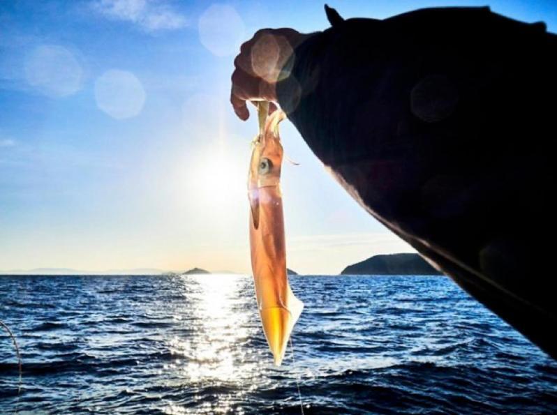 Experience Relais " Il Termine Elba " Otel Rio Marina Dış mekan fotoğraf
