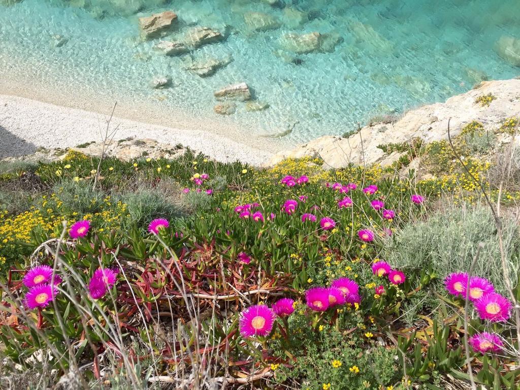 Experience Relais " Il Termine Elba " Otel Rio Marina Dış mekan fotoğraf
